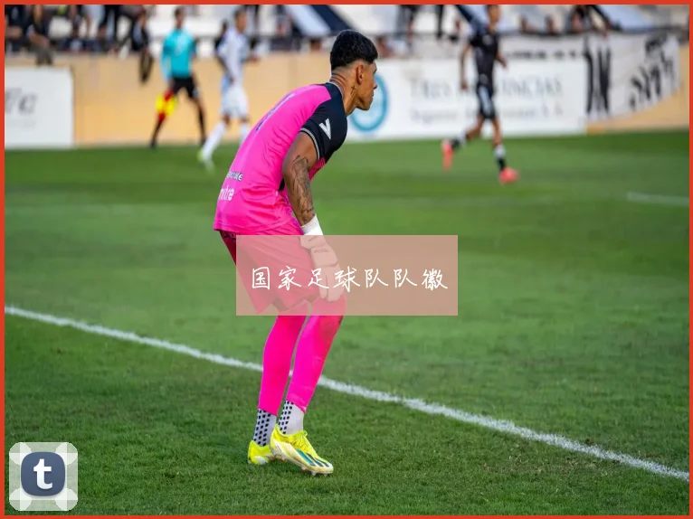 国家足球队队徽