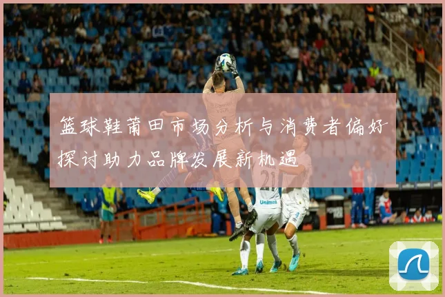 篮球鞋莆田市场分析与消费者偏好探讨助力品牌发展新机遇