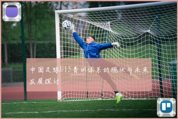 中国足球U15青训体系的现状与未来发展探讨