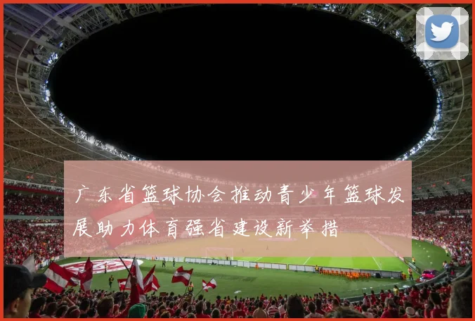 广东省篮球协会推动青少年篮球发展助力体育强省建设新举措