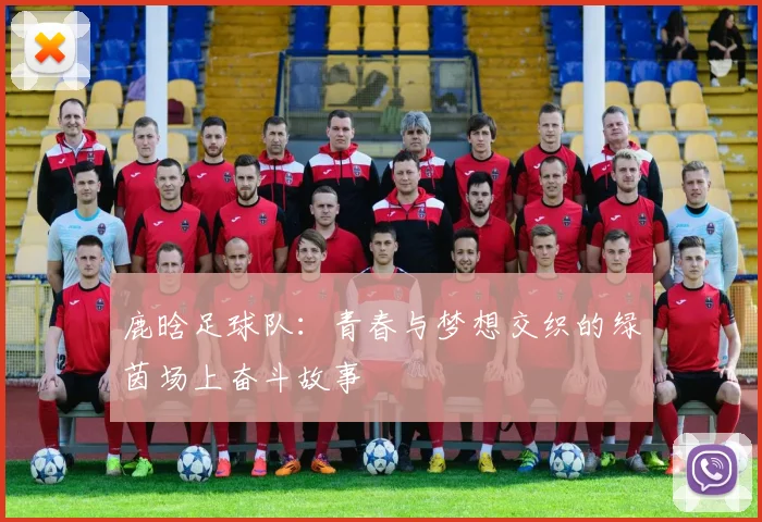 鹿晗足球队：青春与梦想交织的绿茵场上奋斗故事