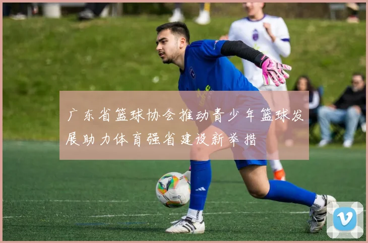 广东省篮球协会推动青少年篮球发展助力体育强省建设新举措